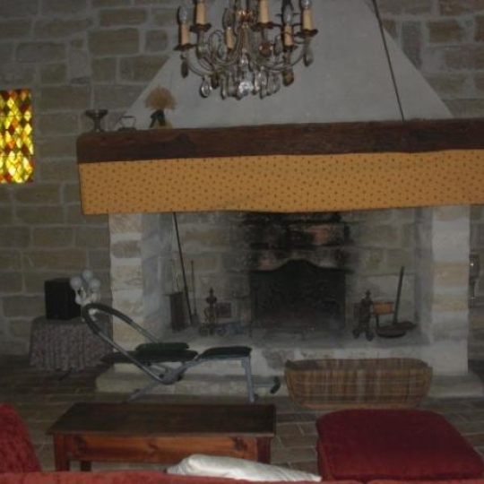 AIGUES-VIVES IMMO : Domaines / Propriétés | GALLARGUES-LE-MONTUEUX (30660) | 400 m2 | 780 000 &euro; 