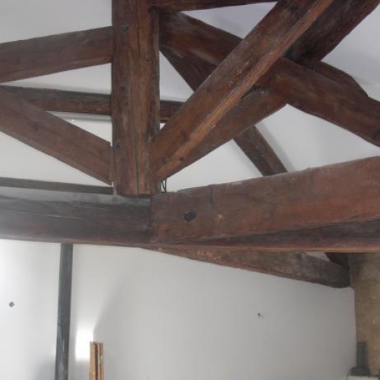  AIGUES-VIVES IMMO : House | AIGUES-VIVES (30670) | 156 m2 | 290 000 &euro; 