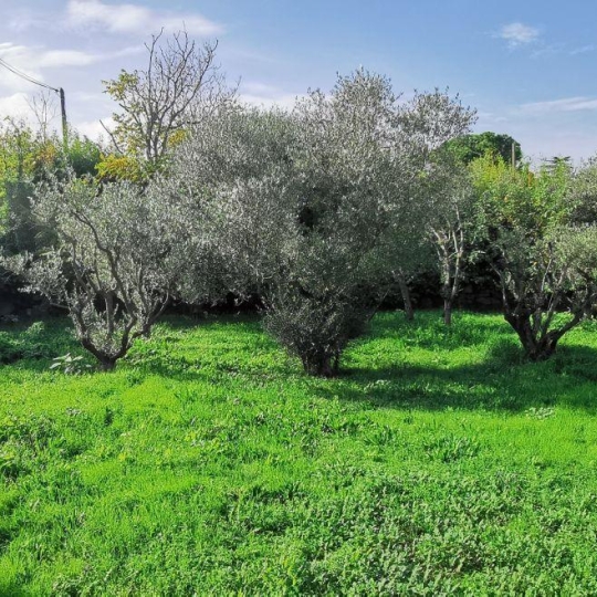  AIGUES-VIVES IMMO : Terrain | AIGUES-VIVES (30670) | 0 m2 | 259 000 &euro; 