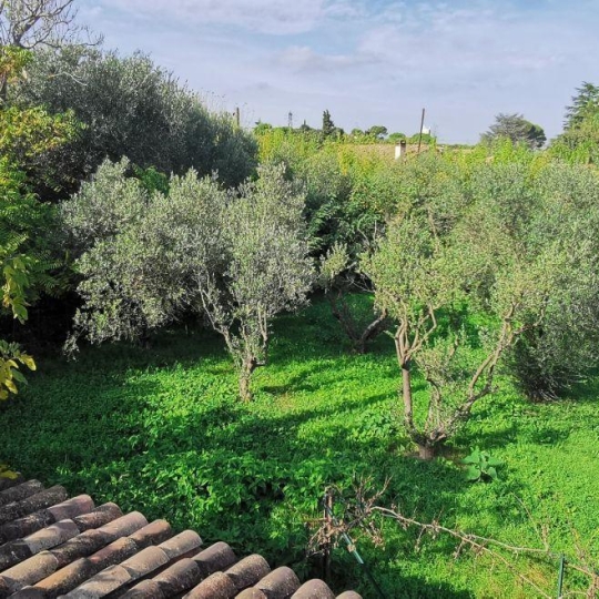  AIGUES-VIVES IMMO : Terrain | AIGUES-VIVES (30670) | 0 m2 | 259 000 &euro; 