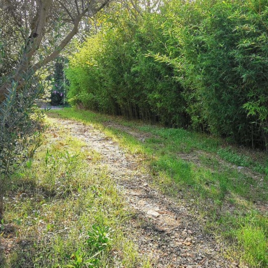  AIGUES-VIVES IMMO : Terrain | AIGUES-VIVES (30670) | 0 m2 | 259 000 &euro; 