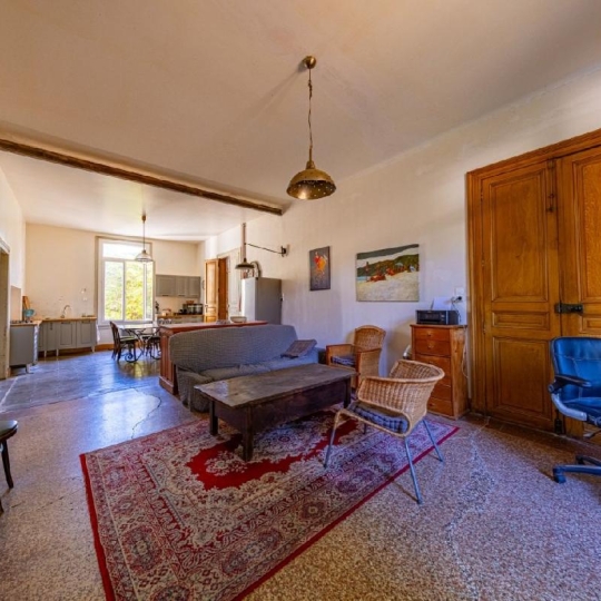  AIGUES-VIVES IMMO : Maison / Villa | AIGUES-VIVES (30670) | 230 m2 | 485 000 &euro; 