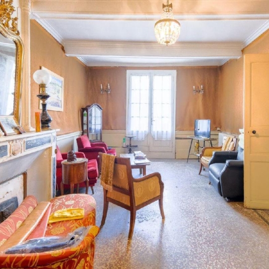  AIGUES-VIVES IMMO : Maison / Villa | AIGUES-VIVES (30670) | 371 m2 | 345 000 &euro; 