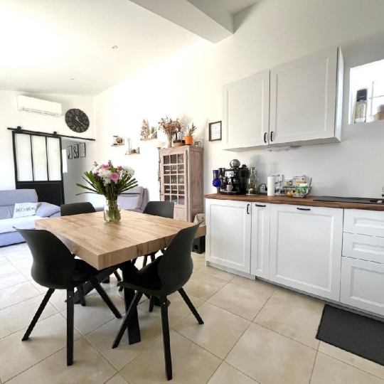  AIGUES-VIVES IMMO : Maison / Villa | AIGUES-VIVES (30670) | 58 m2 | 244 000 &euro; 