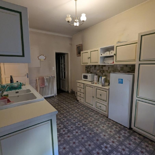  AIGUES-VIVES IMMO : Maison / Villa | AIGUES-VIVES (30670) | 311 m2 | 373 000 &euro; 