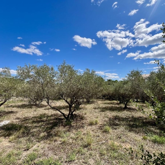  AIGUES-VIVES IMMO : Terrain | AUBAIS (30250) | 0 m2 | 199 000 &euro; 