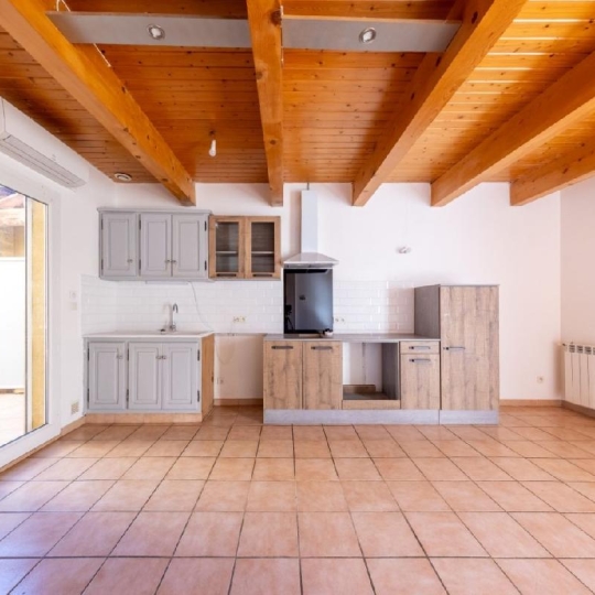  AIGUES-VIVES IMMO : Maison / Villa | AIGUES-VIVES (30670) | 91 m2 | 220 000 &euro; 