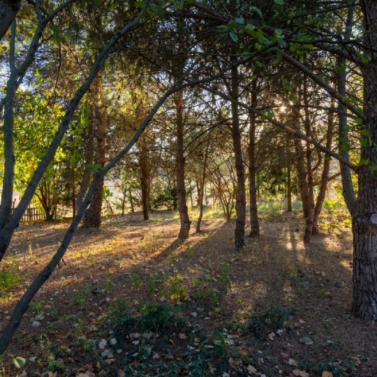  AIGUES-VIVES IMMO : Maison / Villa | AIGUES-VIVES (30670) | 200 m2 | 545 000 &euro; 