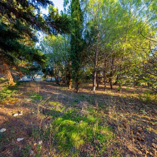  AIGUES-VIVES IMMO : Maison / Villa | AIGUES-VIVES (30670) | 200 m2 | 545 000 &euro; 