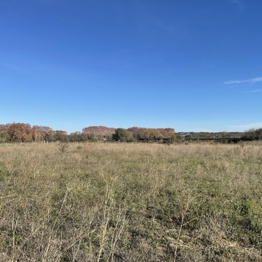  Annonces VAUNAGE : Terrain | MARSILLARGUES (34590) | 650 m2 | 99 900 &euro; 