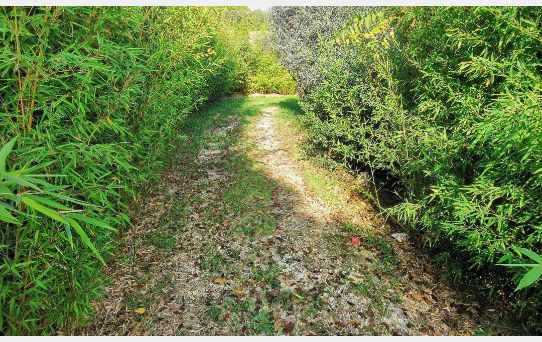 AIGUES-VIVES IMMO : Terrain | AIGUES-VIVES (30670) | 0 m2 | 259 000 &euro; 