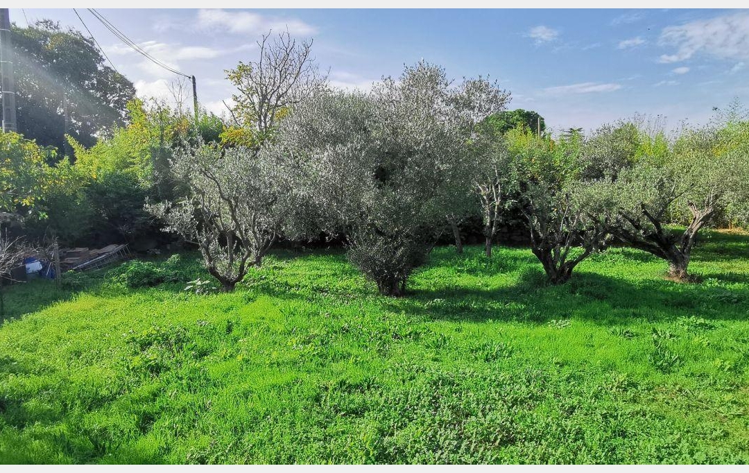 AIGUES-VIVES IMMO : Terrain | AIGUES-VIVES (30670) | 0 m2 | 259 000 &euro; 