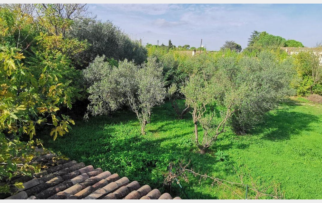 AIGUES-VIVES IMMO : Terrain | AIGUES-VIVES (30670) | 0 m2 | 259 000 &euro; 