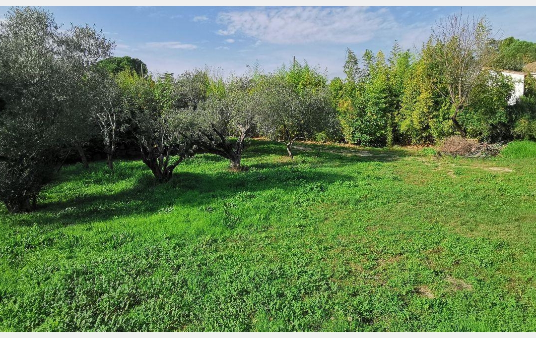 AIGUES-VIVES IMMO : Terrain | AIGUES-VIVES (30670) | 0 m2 | 259 000 &euro; 
