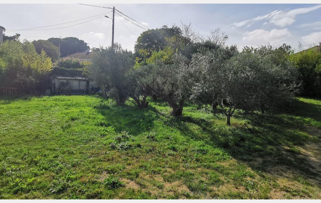 AIGUES-VIVES IMMO : Terrain | AIGUES-VIVES (30670) | 0 m2 | 259 000 &euro; 