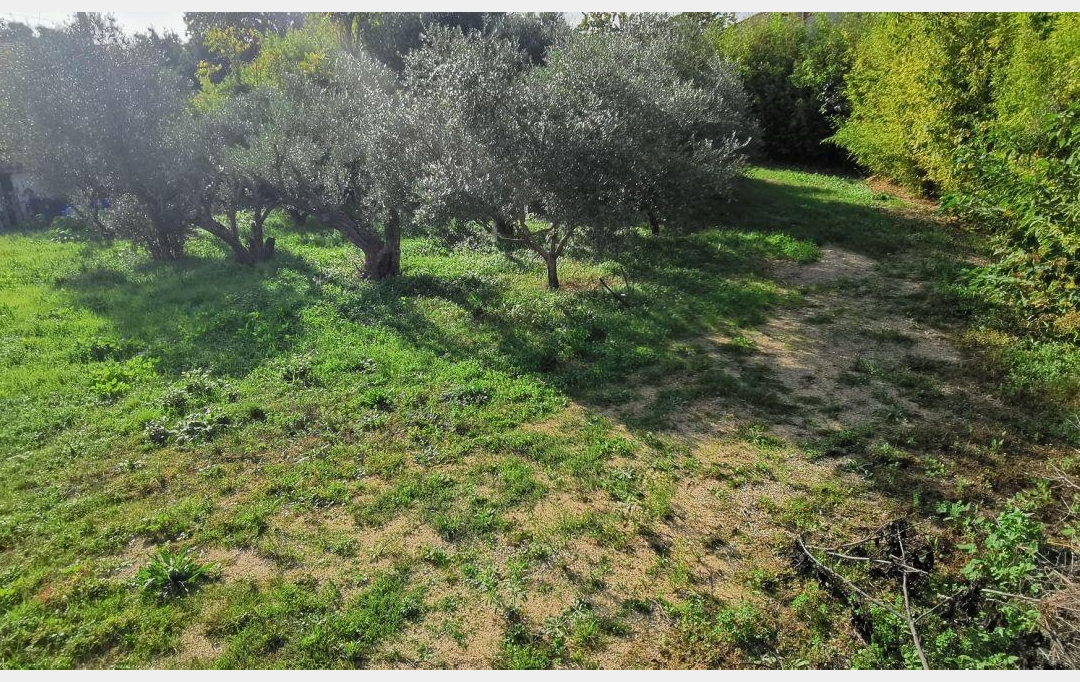 AIGUES-VIVES IMMO : Terrain | AIGUES-VIVES (30670) | 0 m2 | 259 000 &euro; 