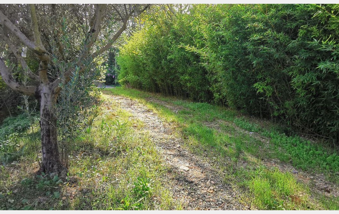 AIGUES-VIVES IMMO : Terrain | AIGUES-VIVES (30670) | 0 m2 | 259 000 &euro; 