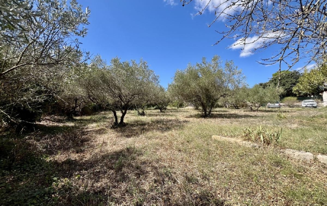 AIGUES-VIVES IMMO : Terrain | AUBAIS (30250) | 0 m2 | 199 000 &euro; 