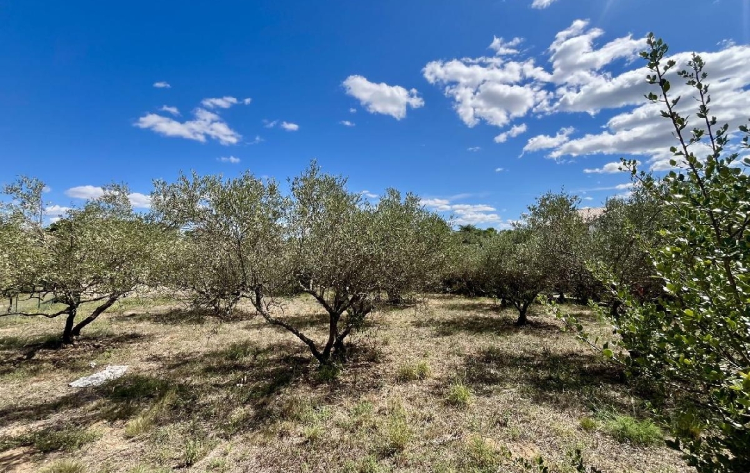 AIGUES-VIVES IMMO : Terrain | AUBAIS (30250) | 0 m2 | 199 000 &euro; 