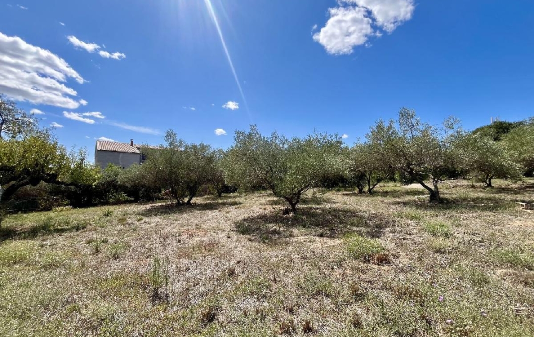 AIGUES-VIVES IMMO : Terrain | AUBAIS (30250) | 0 m2 | 199 000 &euro; 