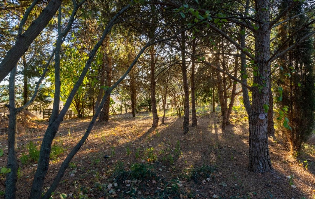 AIGUES-VIVES IMMO : Maison / Villa | AIGUES-VIVES (30670) | 200 m2 | 545 000 &euro; 