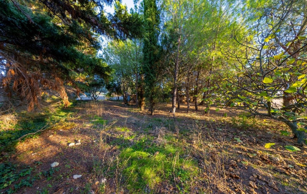 AIGUES-VIVES IMMO : Maison / Villa | AIGUES-VIVES (30670) | 200 m2 | 545 000 &euro; 