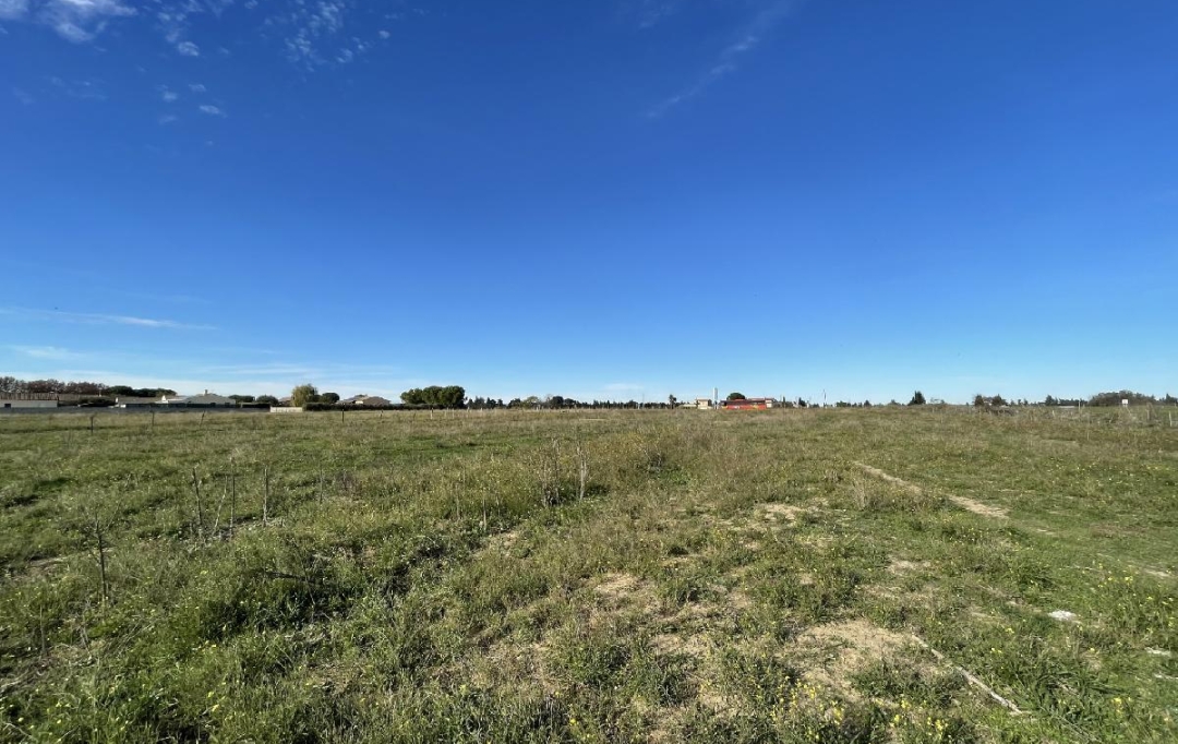 Annonces VAUNAGE : Terrain | MARSILLARGUES (34590) | 650 m2 | 99 900 &euro; 