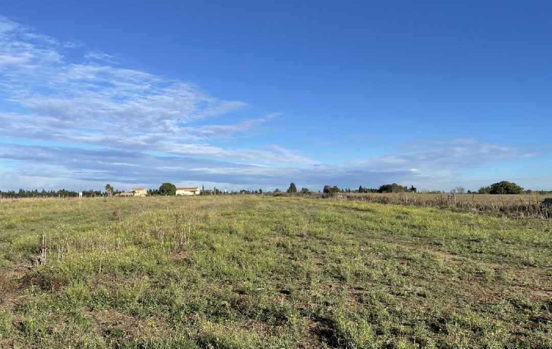 Annonces VAUNAGE : Terrain | AIMARGUES (30470) | 650 m2 | 99 900 &euro; 