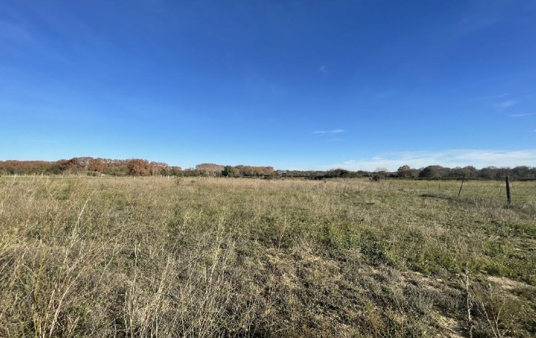 Annonces VAUNAGE : Terrain | AIMARGUES (30470) | 650 m2 | 99 900 &euro; 