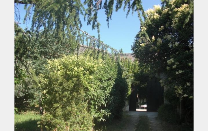 AIGUES-VIVES IMMO : Maison / Villa | GALLARGUES-LE-MONTUEUX (30660) | 600 m2 | 980 000 &euro; 