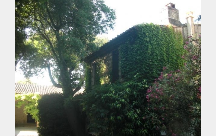 AIGUES-VIVES IMMO : Domaines / Propriétés | GALLARGUES-LE-MONTUEUX (30660) | 400 m2 | 780 000 &euro; 