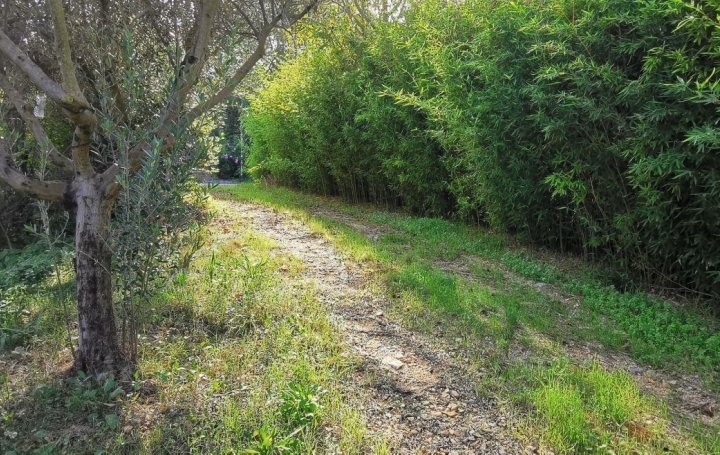 AIGUES-VIVES IMMO : Terrain | AIGUES-VIVES (30670) | 0 m2 | 189 000 &euro; 