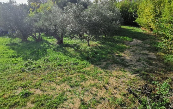 AIGUES-VIVES IMMO : Terrain | AIGUES-VIVES (30670) | 0 m2 | 189 000 &euro; 