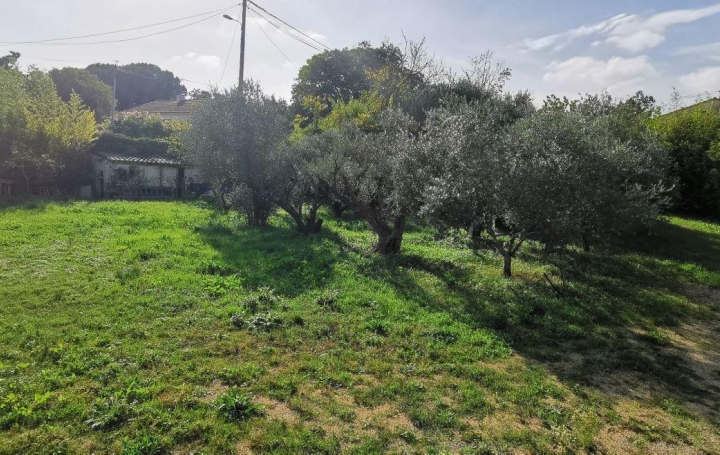AIGUES-VIVES IMMO : Terrain | AIGUES-VIVES (30670) | 0 m2 | 189 000 &euro; 