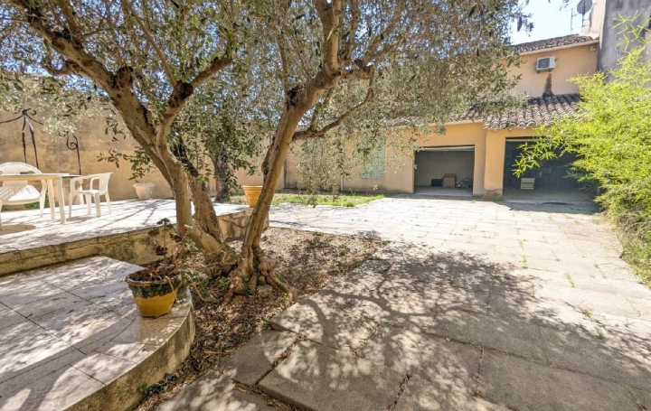 Maison   AIGUES-VIVES  311 m2 373 000 € 