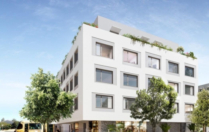 AIGUES-VIVES IMMO : Appartement | MONTPELLIER (34000) | 19 m2 | 466 &euro; 