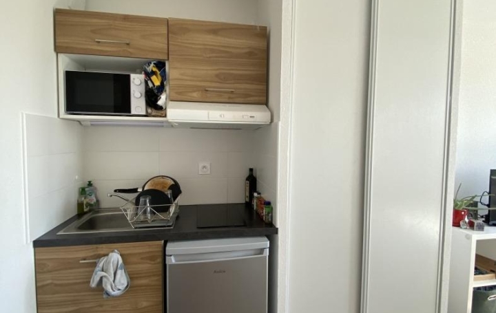 AIGUES-VIVES IMMO : Appartement | MONTPELLIER (34000) | 19 m2 | 466 &euro; 